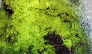 缅甸翡翠原石批发价格 缅甸翡翠原石批发价格