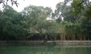 新繁东湖中学贴吧