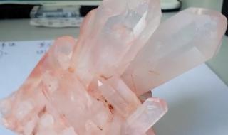 上海自然博物馆新馆 上海自然博物馆新馆